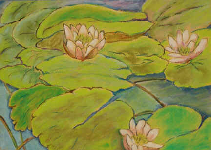 image=lilies puddleduck pond pastel